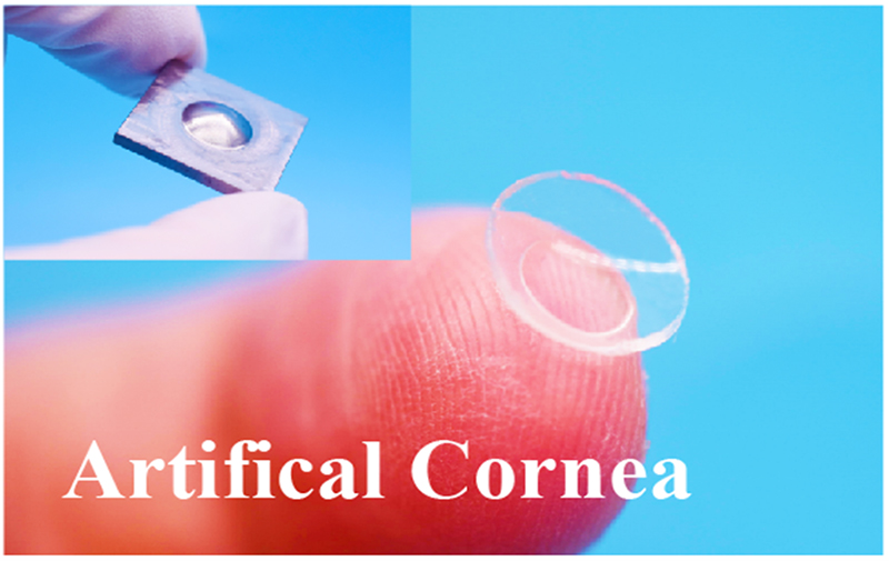 聚焦高端生物組織功能膜科研轉化，博創(chuàng  )生物喜獲天使+輪融資