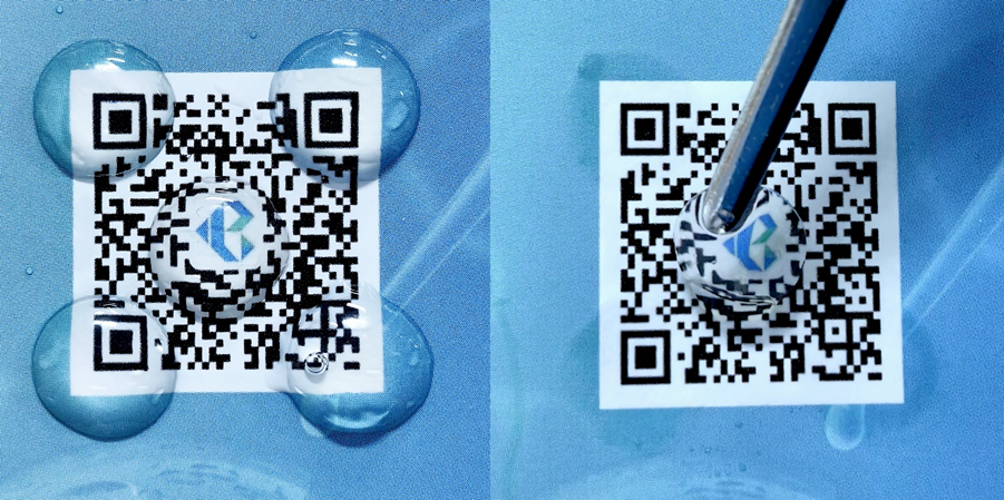 博創(chuàng  )生物人工角膜（E-COL）研發(fā)取得階段性重要成果